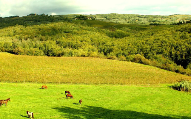 Villa Rignana - The Tuscan Collection