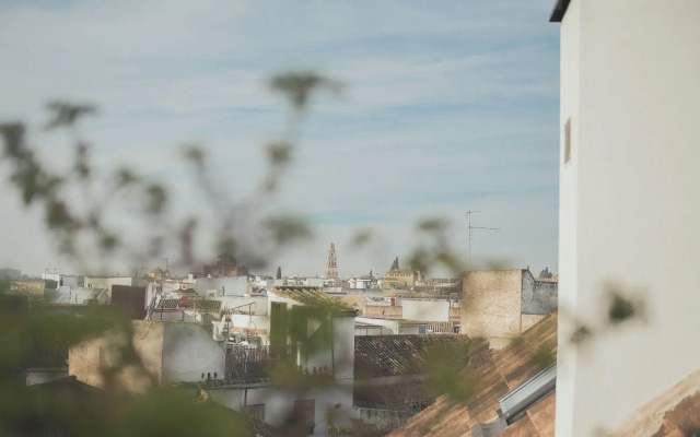 Lofts Trigo 13