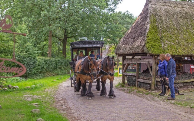 Vakantiepark het Timmerholt