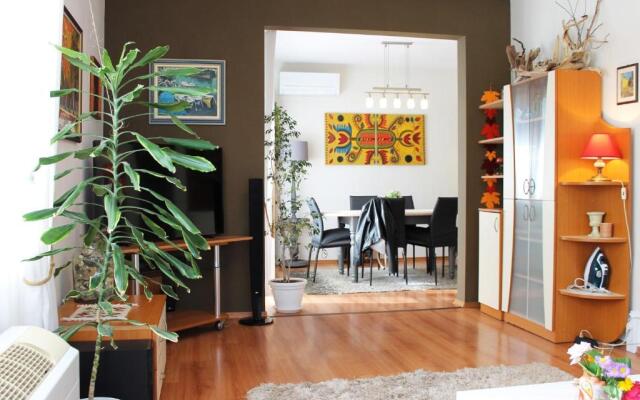 Sunny Day Apartment