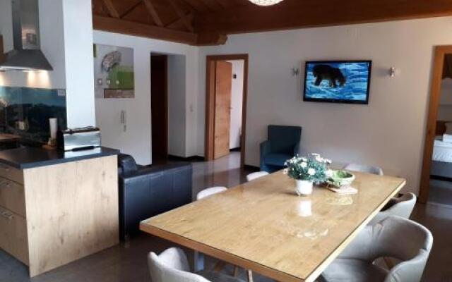Alm Appartements ZellamSee