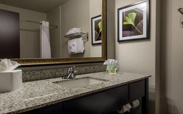 Holiday Inn Austin Airport by IHG