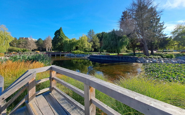 Comfort Hotel Vancouver Airport