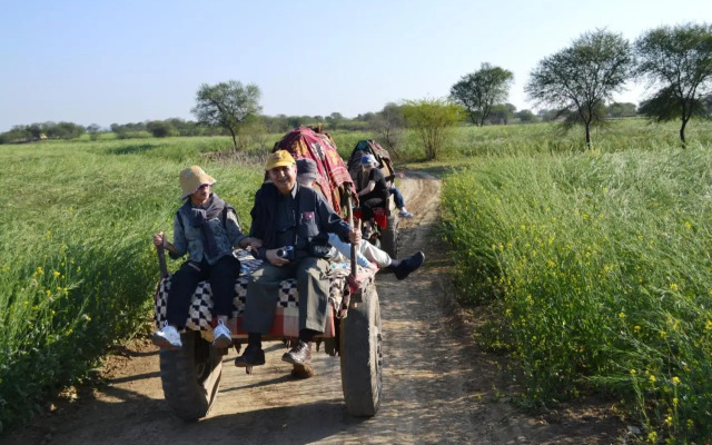 Umaid Palace- An Organic Retreat