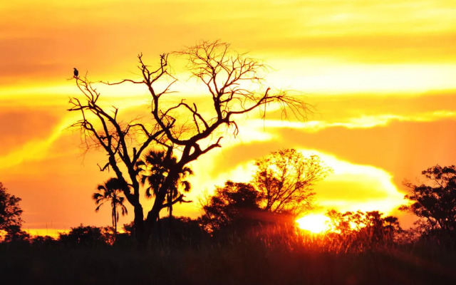 Sanctuary Baines’ Camp