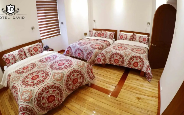Hotel David