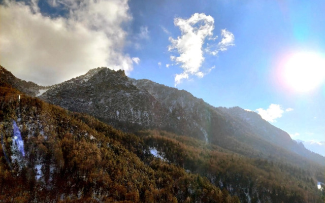 Predigtstuhlblick Apartment - Terrasse - Pool - Panorama