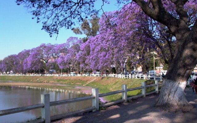 Tana-Jacaranda - Hostel