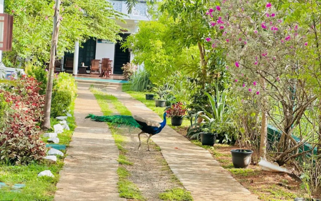 New Peacock Resort