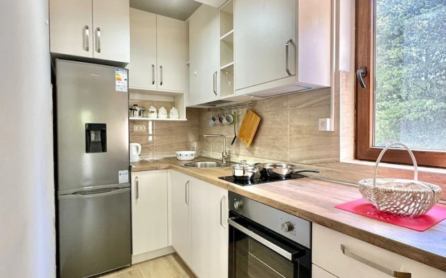 Central apartments Surina