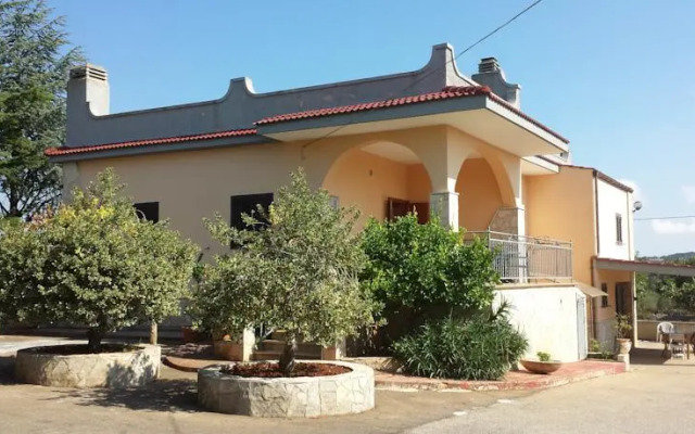 Stella Della Valle DItria