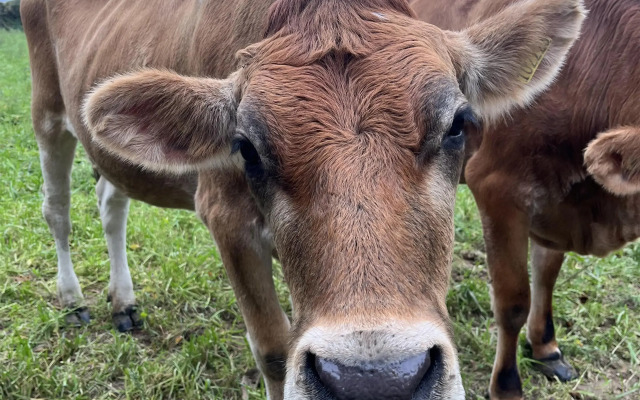 Radisson Blu Waterfront Hotel, Jersey