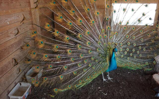 Остров Колочный