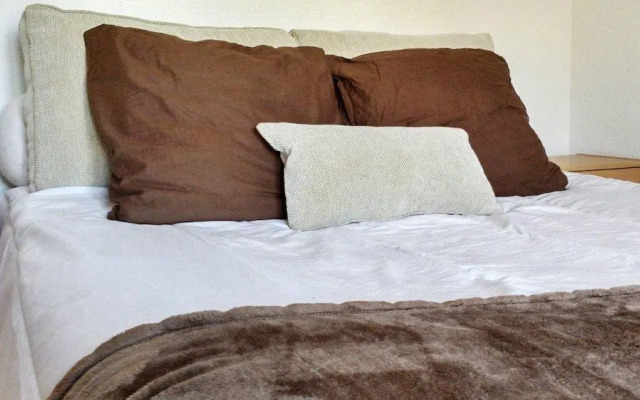 Sleek Allos Ski Chalet