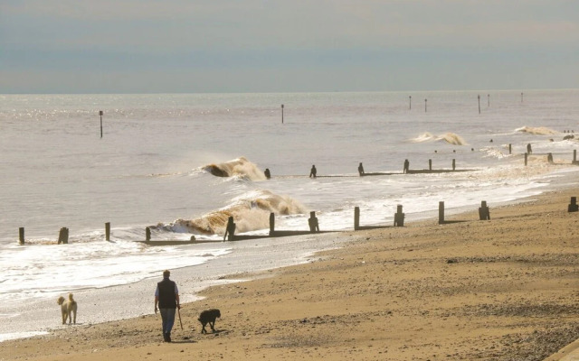 Driftwood