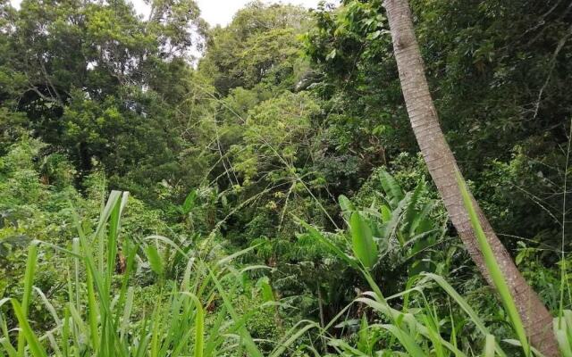Jungla de Panama