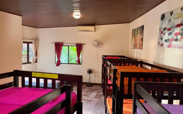 SOLID Surf Hostel