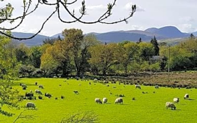 Mountain View Bed & Breakfast, Kenmare, Co. Kerry, Ireland