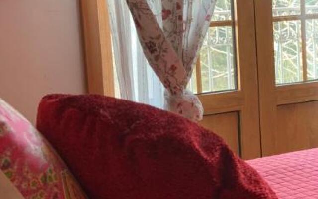 Quinta das Ameixas - Country & Nature