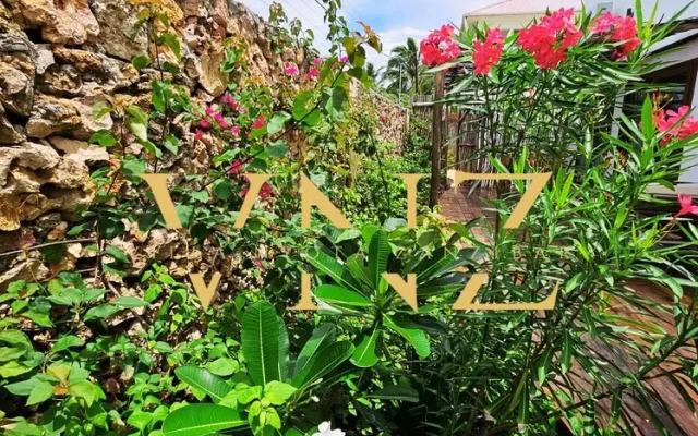 Villa Nyota Zanzibar