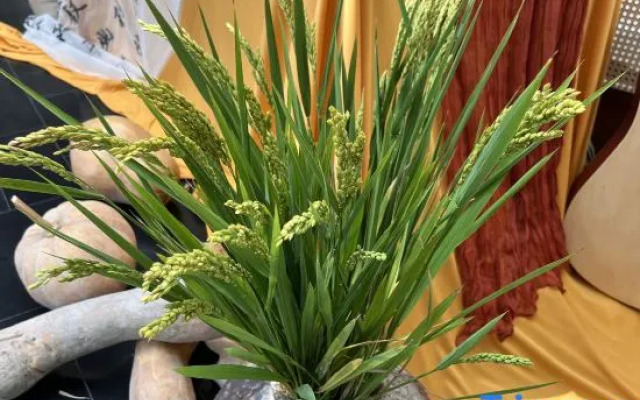 Shanghai Rongju Shagang Homestay