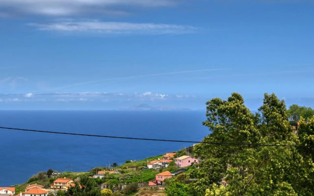 Os Ferreirinhos a Home in Madeira