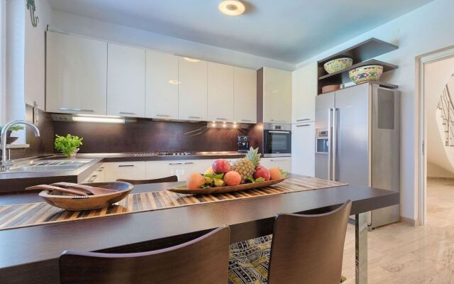 Salamander Pula in Pula