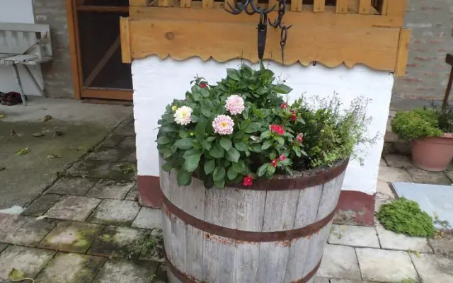 Country House Pod dudom Aljmaš