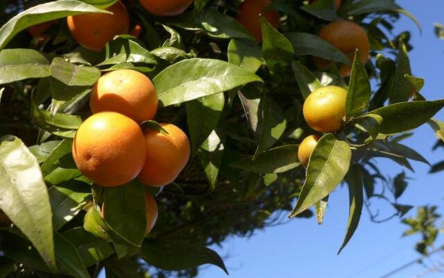 Swara Slow Living Home