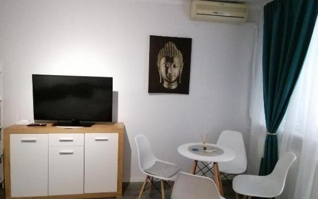 Bega Circumvalatiunii 1 Room Apartment