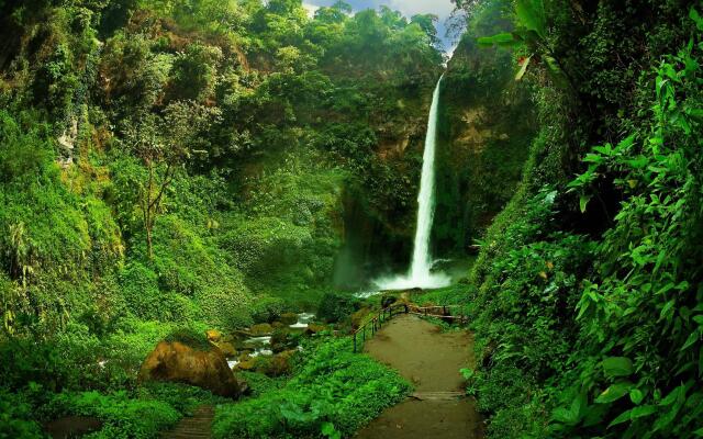 Gunung Tabor Outbond