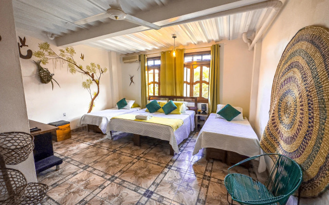 Eco hotel the refuge of the forest