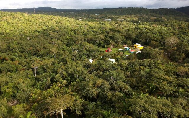 Lower Dover Jungle Lodge & Maya Ruins - Hostel
