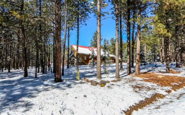 Webb Cabin Mountain