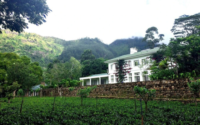 The Planters House