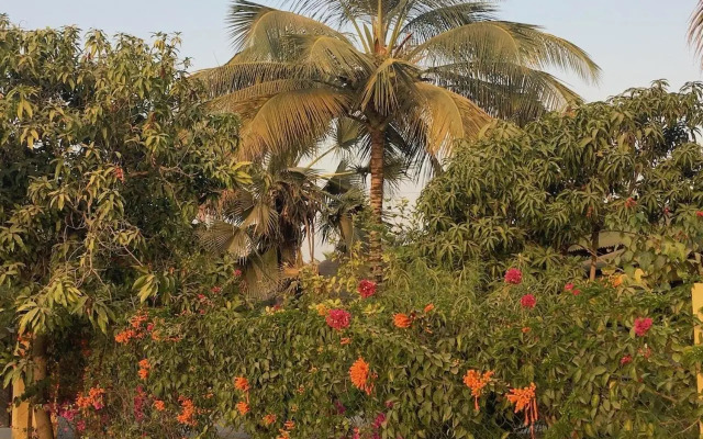 Les Maisons De Marco SENEGAL - B&B