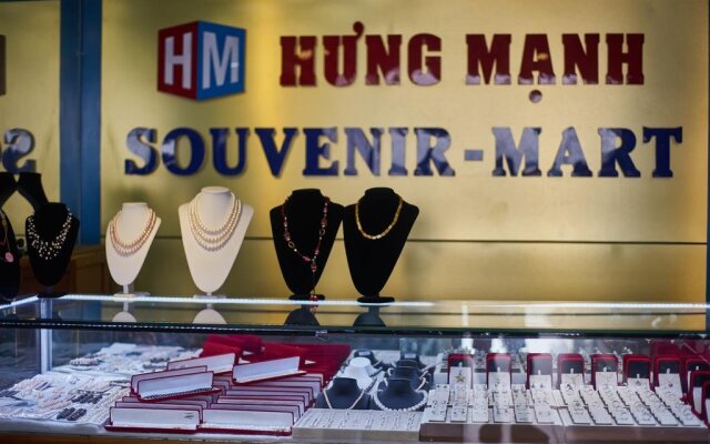 Hung Manh Hotel