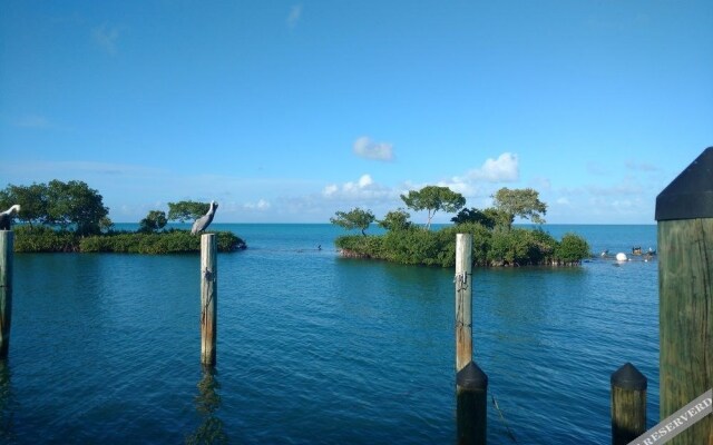 Conch Key Fishing Lodge and Marina