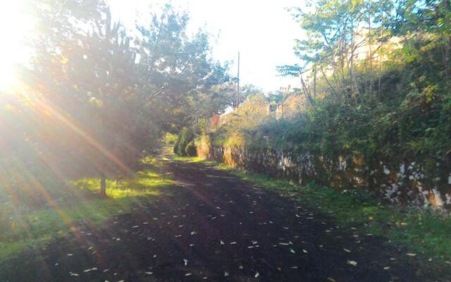 2 bedrooms mansion with furnished terrace at Viagrande