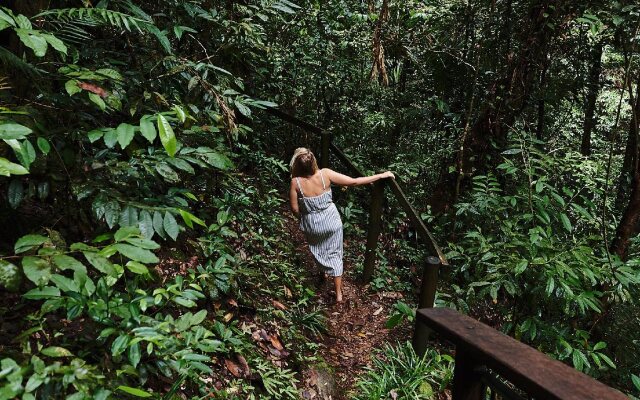 Daintree Ecolodge