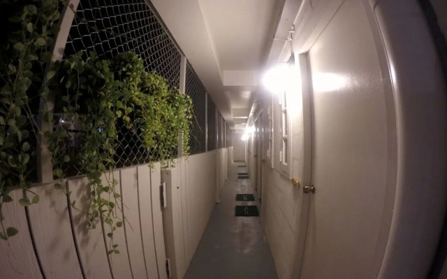 The Pier Hostel