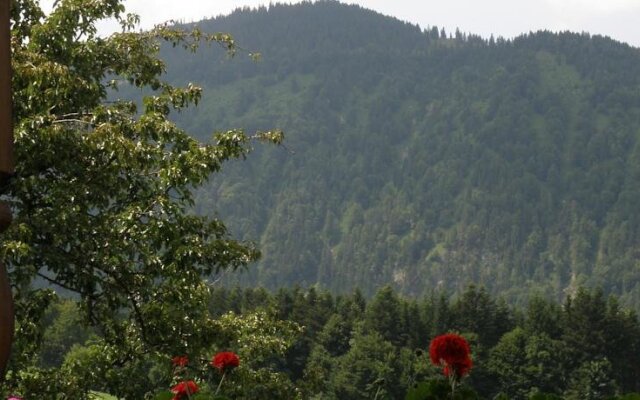 Apartments Obingerhäusl