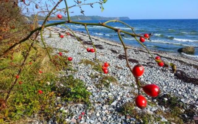 Ferienwohnungen Rügen Findling Breege