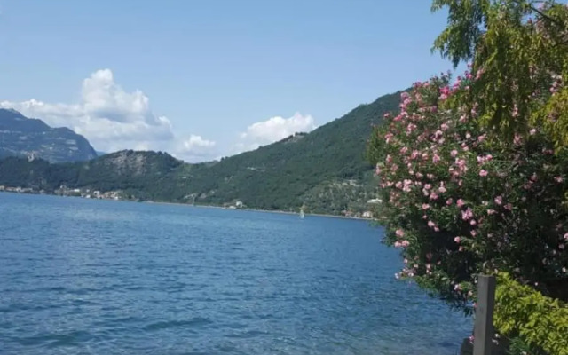 L'Oleandro Sul Lago d'Iseo B&B