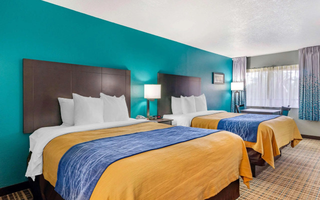 Comfort Inn Sun City Center - Ruskin - Tampa South