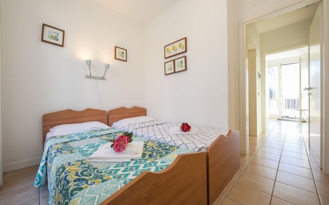 Porto Letizia Begonia 1