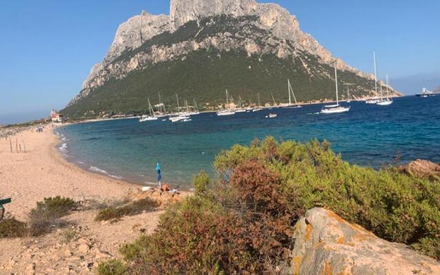 Appartamento Tavolara