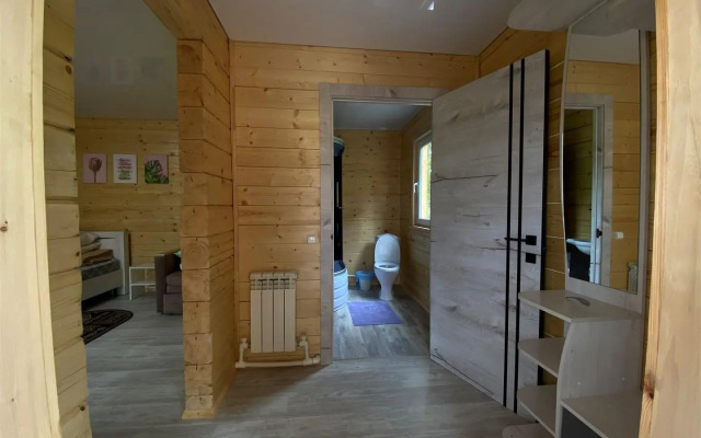 Кедр Золотой