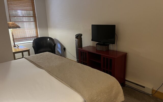 Bear Creek Lodge 107a 1 Bedroom Condo by Alpine Lodging Telluride