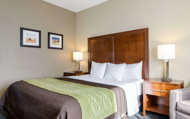Comfort Inn Garden City